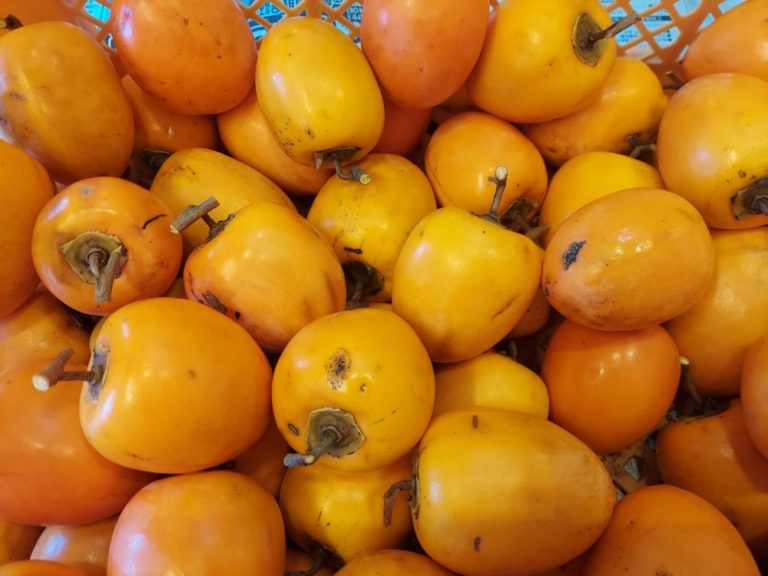 干し柿作り第２弾です。