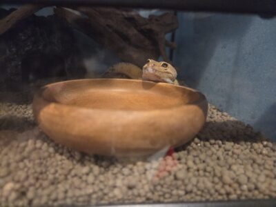 職員紹介【通リハ】