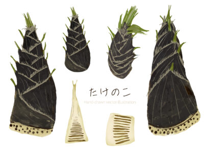たけのこ【つる】