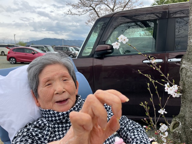 花見🌸【うめ・きく】