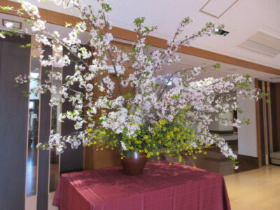 桜ヒラヒラ・・・🌸【栄養課】