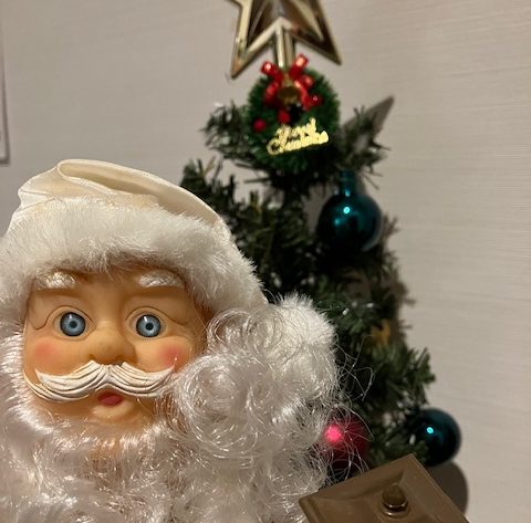 クリスマスに向けての準備🎄【うめ・きく】