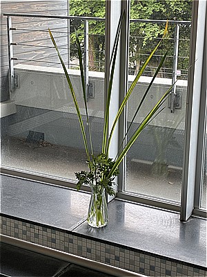 端午の節句　菖蒲湯【入所】