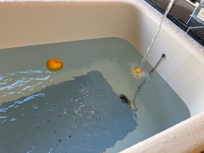 さくら・ふじの日常