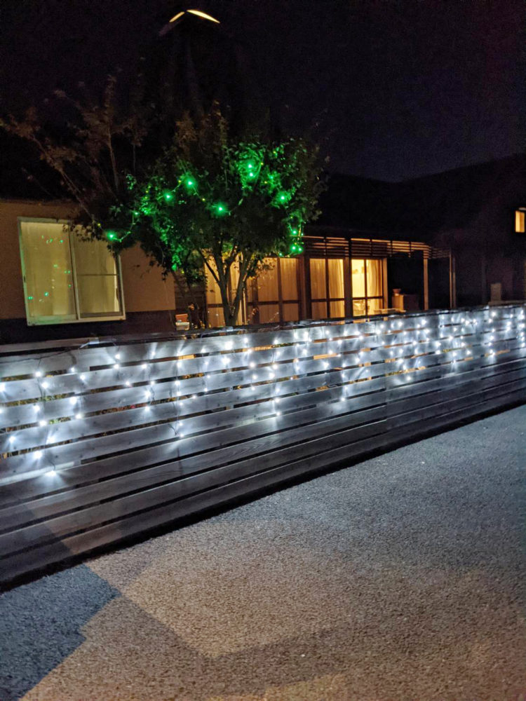 今年もイルミネーション始めました！